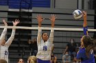 VB vs WSU  Wheaton Women's Volleyball vs Worcester State University. - Photo by Keith Nordstrom : Wheaton, Volleyball